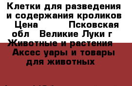 Клетки для разведения и содержания кроликов › Цена ­ 300 - Псковская обл., Великие Луки г. Животные и растения » Аксесcуары и товары для животных   